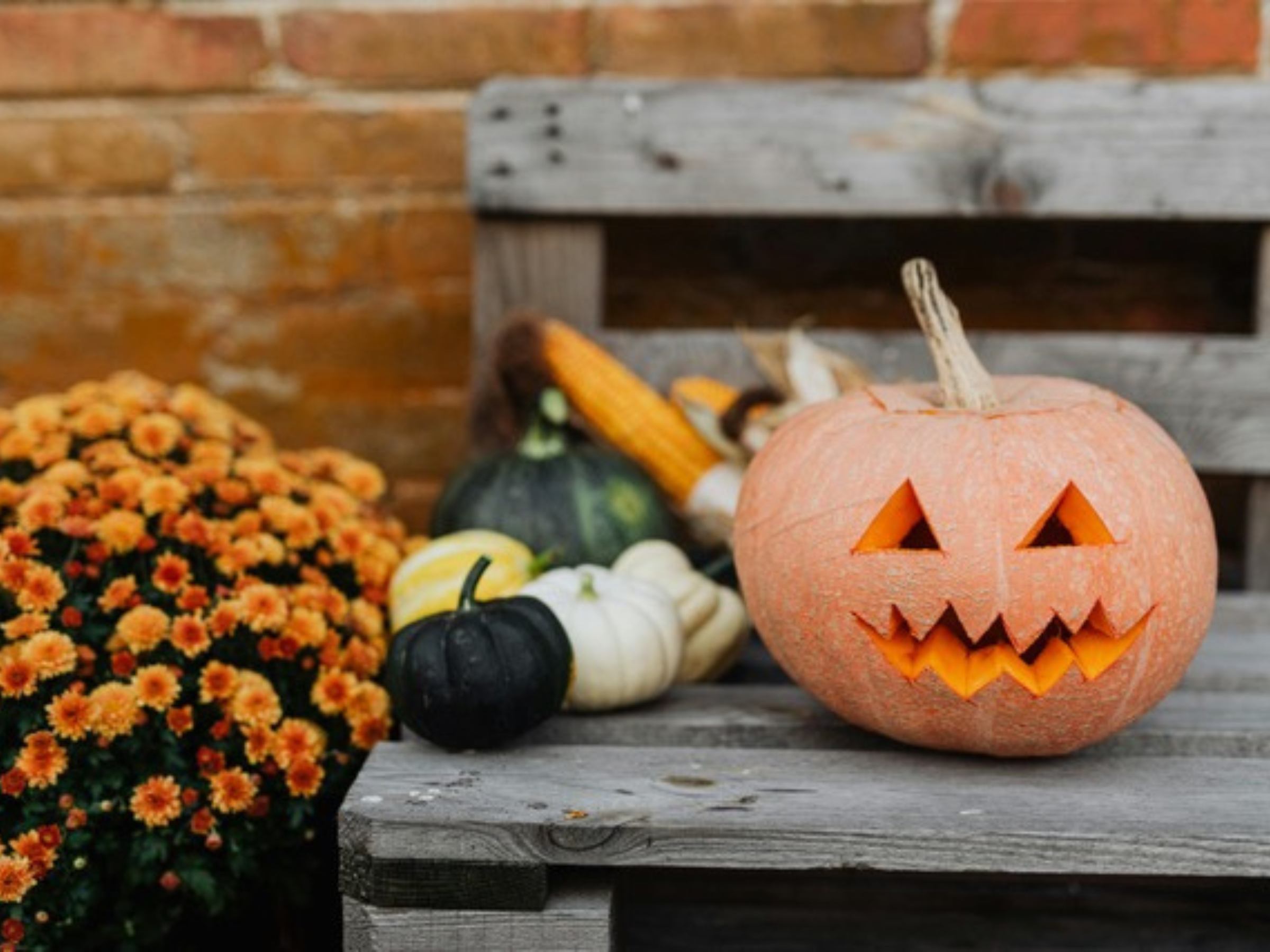 8 Halloween Sleep Tips for Kids: Keep Your Child Rested and Happy